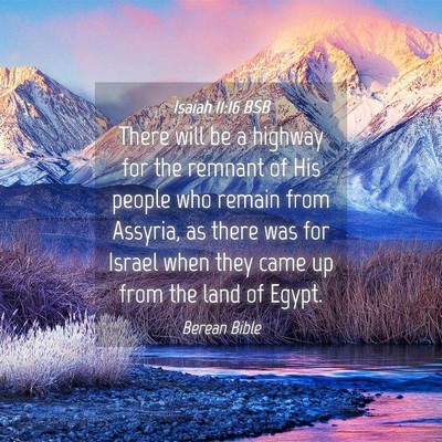 Picture 04 - Isaiah 11:16 BSB - There will be a highway for the remnant of His - Bible Verse Picture