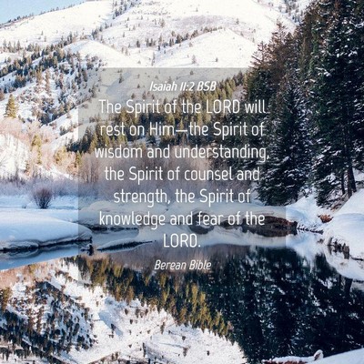 Picture 04 - Isaiah 11:2 BSB - The Spirit of the LORD will rest on Him—the - Bible Verse Picture