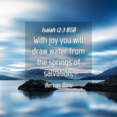 Picture 04 - Isaiah 12:3 BSB - With joy you will draw water from the springs of - Bible Verse Picture