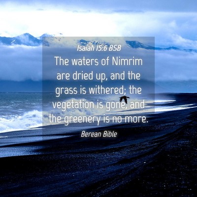 Picture 04 - Isaiah 15:6 BSB - The waters of Nimrim are dried up, and the grass - Bible Verse Picture