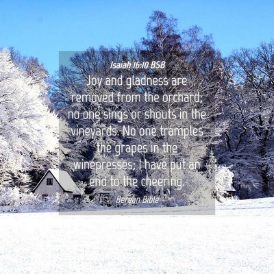 Picture 04 - Isaiah 16:10 BSB - Joy and gladness are removed from the orchard; no - Bible Verse Picture