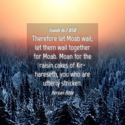Picture 04 - Isaiah 16:7 BSB - Therefore let Moab wail; let them wail together - Bible Verse Picture