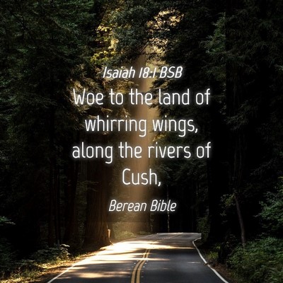 Picture 04 - Isaiah 18:1 BSB - Woe to the land of whirring wings, along the - Bible Verse Picture