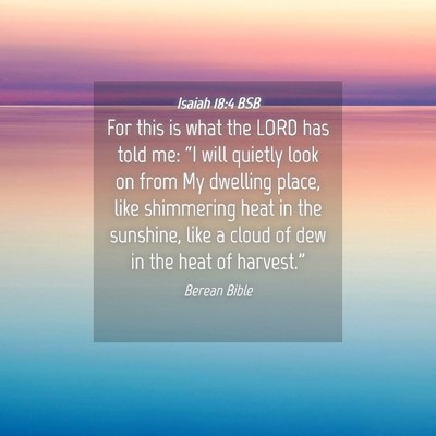 Picture 04 - Isaiah 18:4 BSB - For this is what the LORD has told me: “I will - Bible Verse Picture