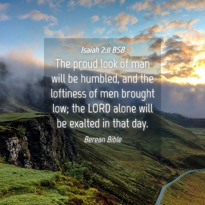Picture 04 - Isaiah 2:11 BSB - The proud look of man will be humbled, and the - Bible Verse Picture