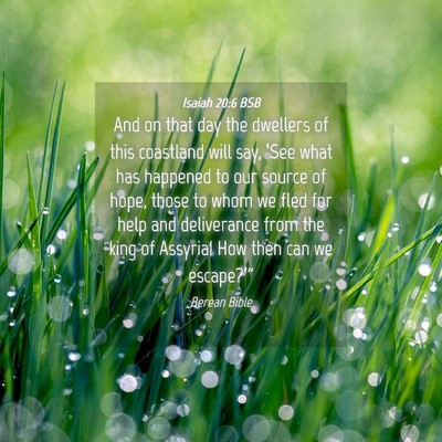 Picture 04 - Isaiah 20:6 BSB - And on that day the dwellers of this coastland - Bible Verse Picture