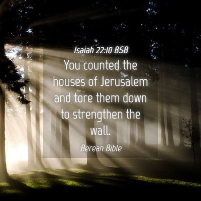 Picture 04 - Isaiah 22:10 BSB - You counted the houses of Jerusalem and tore them - Bible Verse Picture