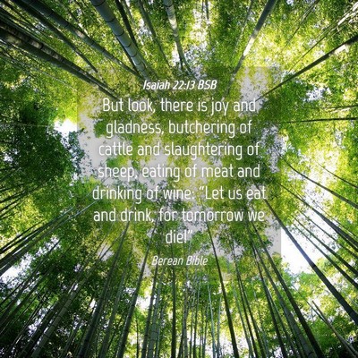 Picture 04 - Isaiah 22:13 BSB - But look, there is joy and gladness, butchering - Bible Verse Picture