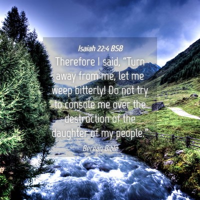 Picture 04 - Isaiah 22:4 BSB - Therefore I said, “Turn away from me, let me - Bible Verse Picture