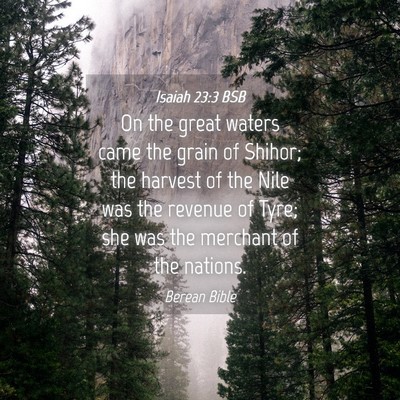 Picture 04 - Isaiah 23:3 BSB - On the great waters came the grain of Shihor; the - Bible Verse Picture