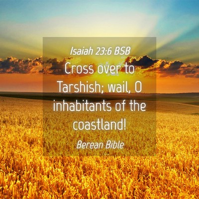 Picture 04 - Isaiah 23:6 BSB - Cross over to Tarshish; wail, O inhabitants of - Bible Verse Picture