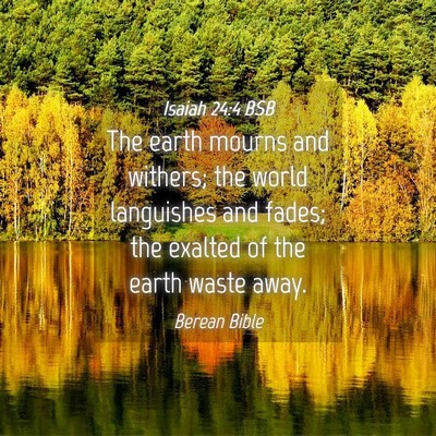 Picture 04 - Isaiah 24:4 BSB - The earth mourns and withers; the world - Bible Verse Picture