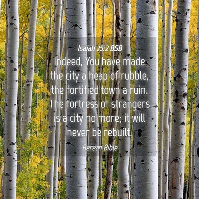 Picture 04 - Isaiah 25:2 BSB - Indeed, You have made the city a heap of rubble, - Bible Verse Picture