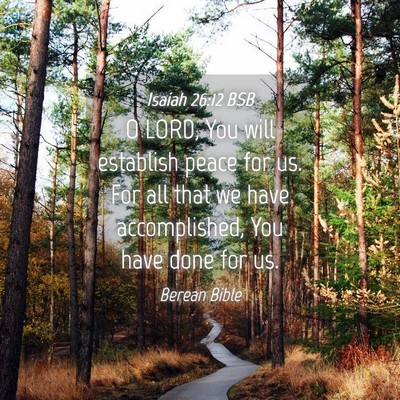 Picture 04 - Isaiah 26:12 BSB - O LORD, You will establish peace for us. For all - Bible Verse Picture