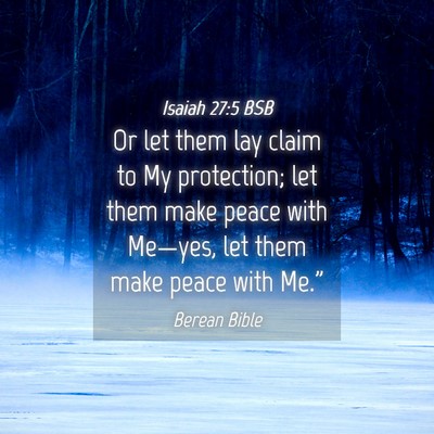Picture 04 - Isaiah 27:5 BSB - Or let them lay claim to My protection; let them - Bible Verse Picture