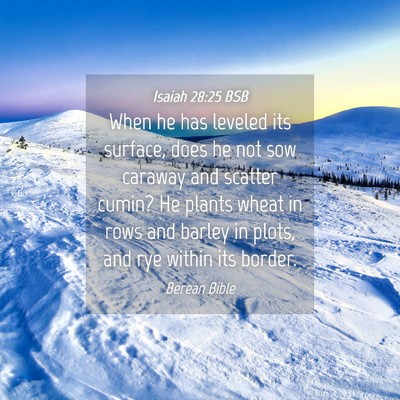 Picture 04 - Isaiah 28:25 BSB - When he has leveled its surface, does he not sow - Bible Verse Picture