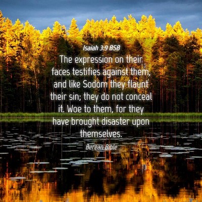 Picture 04 - Isaiah 3:9 BSB - The expression on their faces testifies against - Bible Verse Picture