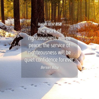 Picture 04 - Isaiah 32:17 BSB - The work of righteousness will be peace; the - Bible Verse Picture