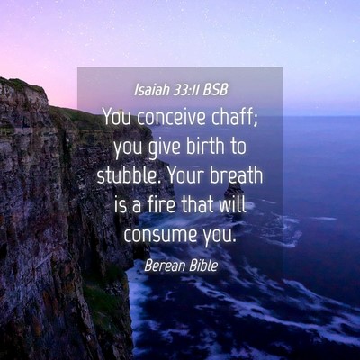 Picture 04 - Isaiah 33:11 BSB - You conceive chaff; you give birth to stubble. - Bible Verse Picture