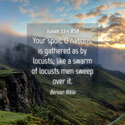 Picture 04 - Isaiah 33:4 BSB - Your spoil, O nations, is gathered as by locusts; - Bible Verse Picture