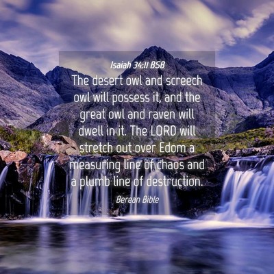 Picture 04 - Isaiah 34:11 BSB - The desert owl and screech owl will possess it, - Bible Verse Picture