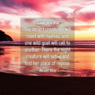 Picture 04 - Isaiah 34:14 BSB - The desert creatures will meet with hyenas, and - Bible Verse Picture