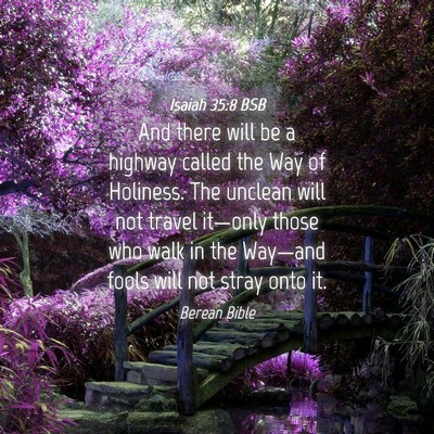 Picture 04 - Isaiah 35:8 BSB - And there will be a highway called the Way of - Bible Verse Picture