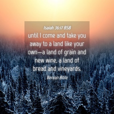Picture 04 - Isaiah 36:17 BSB - until I come and take you away to a land like - Bible Verse Picture
