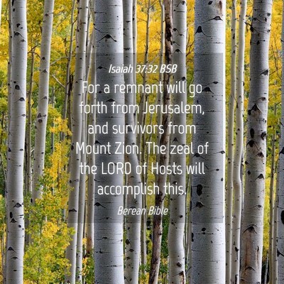 Picture 04 - Isaiah 37:32 BSB - For a remnant will go forth from Jerusalem, and - Bible Verse Picture