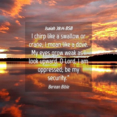 Picture 04 - Isaiah 38:14 BSB - I chirp like a swallow or crane; I moan like a - Bible Verse Picture