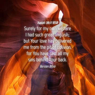 Picture 04 - Isaiah 38:17 BSB - Surely for my own welfare I had such great - Bible Verse Picture
