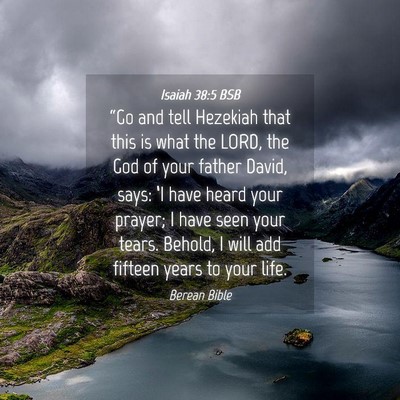 Picture 04 - Isaiah 38:5 BSB - “Go and tell Hezekiah that this is what the - Bible Verse Picture