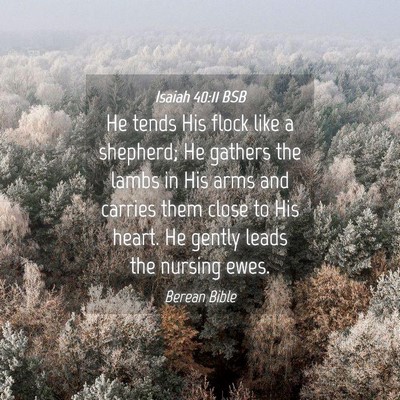 Picture 04 - Isaiah 40:11 BSB - He tends His flock like a shepherd; He gathers - Bible Verse Picture