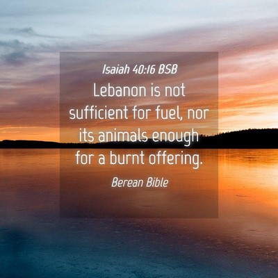 Picture 04 - Isaiah 40:16 BSB - Lebanon is not sufficient for fuel, nor its - Bible Verse Picture