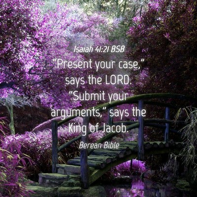 Picture 04 - Isaiah 41:21 BSB - “Present your case,” says the LORD. “Submit - Bible Verse Picture