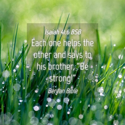 Picture 04 - Isaiah 41:6 BSB - Each one helps the other and says to his brother, - Bible Verse Picture