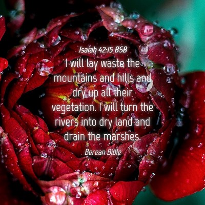 Picture 04 - Isaiah 42:15 BSB - I will lay waste the mountains and hills and dry - Bible Verse Picture
