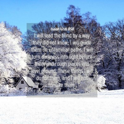 Picture 04 - Isaiah 42:16 BSB - I will lead the blind by a way they did not know; - Bible Verse Picture