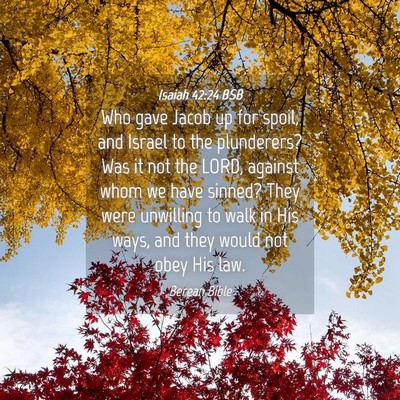 Picture 04 - Isaiah 42:24 BSB - Who gave Jacob up for spoil, and Israel to the - Bible Verse Picture