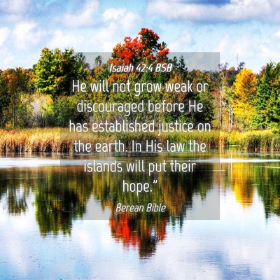 Picture 04 - Isaiah 42:4 BSB - He will not grow weak or discouraged before He - Bible Verse Picture