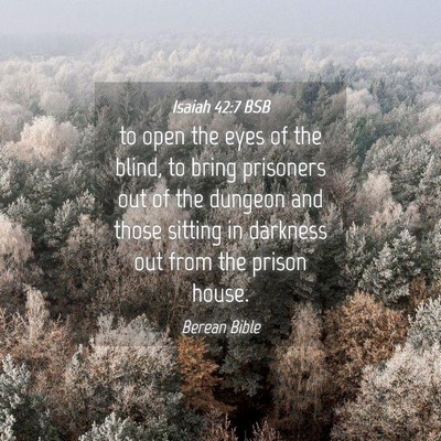 Picture 04 - Isaiah 42:7 BSB - to open the eyes of the blind, to bring prisoners - Bible Verse Picture