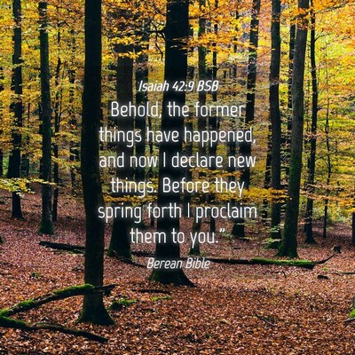 Picture 04 - Isaiah 42:9 BSB - Behold, the former things have happened, and now - Bible Verse Picture