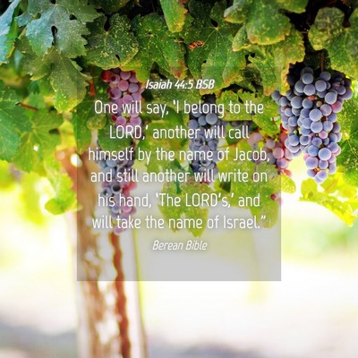 Picture 04 - Isaiah 44:5 BSB - One will say, ‘I belong to the LORD,’ another - Bible Verse Picture