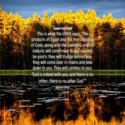 Picture 04 - Isaiah 45:14 BSB - This is what the LORD says: “The products of - Bible Verse Picture
