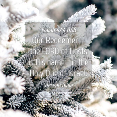 Picture 04 - Isaiah 47:4 BSB - Our Redeemer—the LORD of Hosts is His name—is - Bible Verse Picture