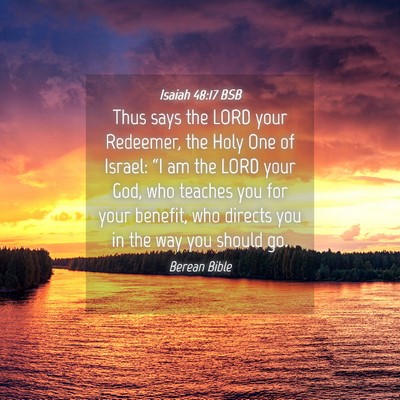 Picture 04 - Isaiah 48:17 BSB - Thus says the LORD your Redeemer, the Holy One of - Bible Verse Picture