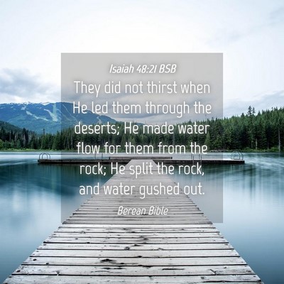 Picture 04 - Isaiah 48:21 BSB - They did not thirst when He led them through the - Bible Verse Picture