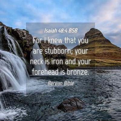Picture 04 - Isaiah 48:4 BSB - For I knew that you are stubborn; your neck is - Bible Verse Picture
