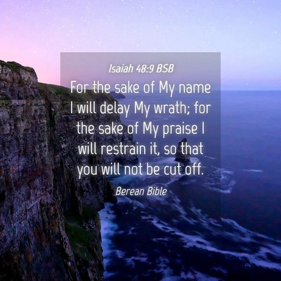 Picture 04 - Isaiah 48:9 BSB - For the sake of My name I will delay My wrath; - Bible Verse Picture