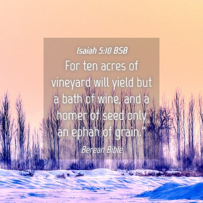 Picture 04 - Isaiah 5:10 BSB - For ten acres of vineyard will yield but a bath - Bible Verse Picture